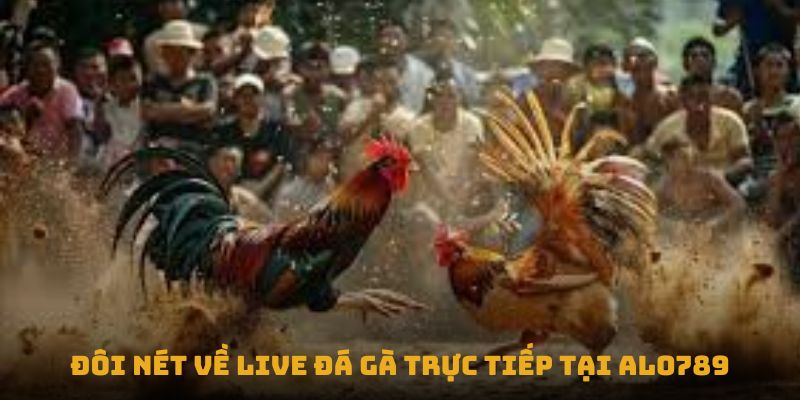 Đôi nét về Live đá gà trực tiếp tại Alo789