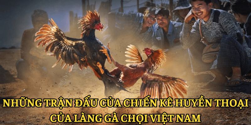 Những trận đấu chiến kê huyền thoại của làng gà chọi Việt Nam