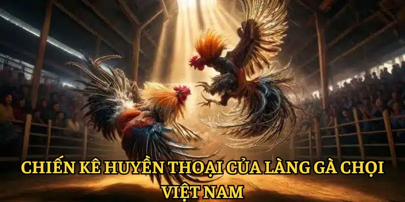 chiến kê huyền thoại của làng gà chọi việt nam